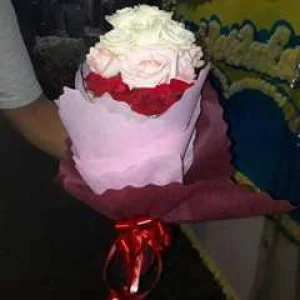 HB 009 Bulat